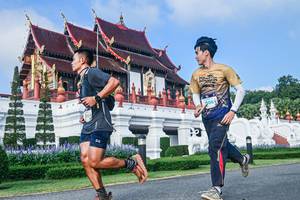 BIB: 1506
                            <button type="button" onclick="openModal(22459817)" class="btn btn-primary btn-sm float-right btn-popup" data-toggle="modal" data-target=".modal-high-quality">
                        <i class="fas fa-shopping-cart"></i> Add to Cart
                    </button>
                                            <button type="button" onclick="isThisMe(22459817, true)" class="btn btn-success btn-sm float-right btn-popup btn-isme hidden" data-toggle="tooltip" data-placement="bottom" title="นี่คือรูปของคุณใช่ไหม คลิกที่นี่เพื่อเอาเข้าอัลบั้ม">
                        <i class="fas fa-plus"></i> Add to album
                    </button>
                    <button type="button" onclick="isThisMe(22459817, false)" class="btn btn-warning btn-sm float-right btn-popup btn-isnotme hidden">
                        <i class="fas fa-ban"></i> Remove from album
                    </button>